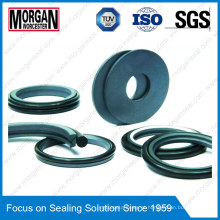 Pti Type Hydraulic Cylinder Rod Dust Double Wiper Seal Ring